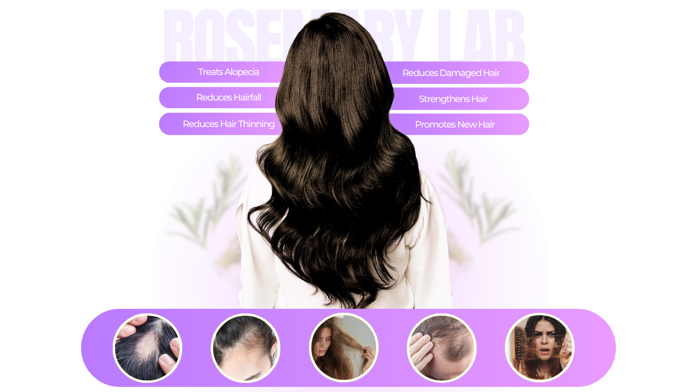 Rosemary Essential Oil – Organic Hair Growth & Scalp Therapy